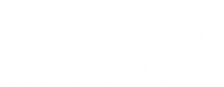 Logo STP Concept